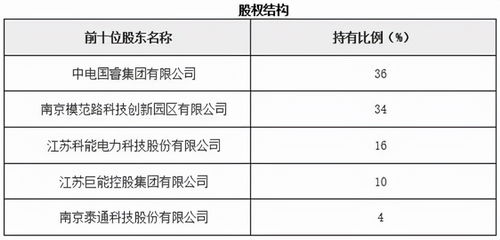 江蘇南京物聯(lián)網(wǎng)技術(shù)服務(wù)公司股權(quán)招投標代理服務(wù)解析